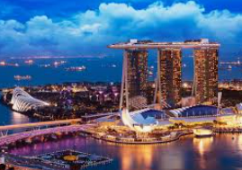 ayx大厅手机版登录入口2024最新版